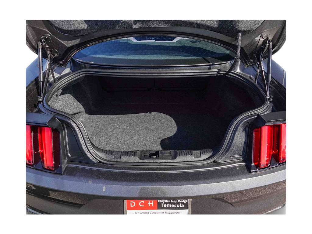 Thumbnail: 2017 Ford Mustang - 15