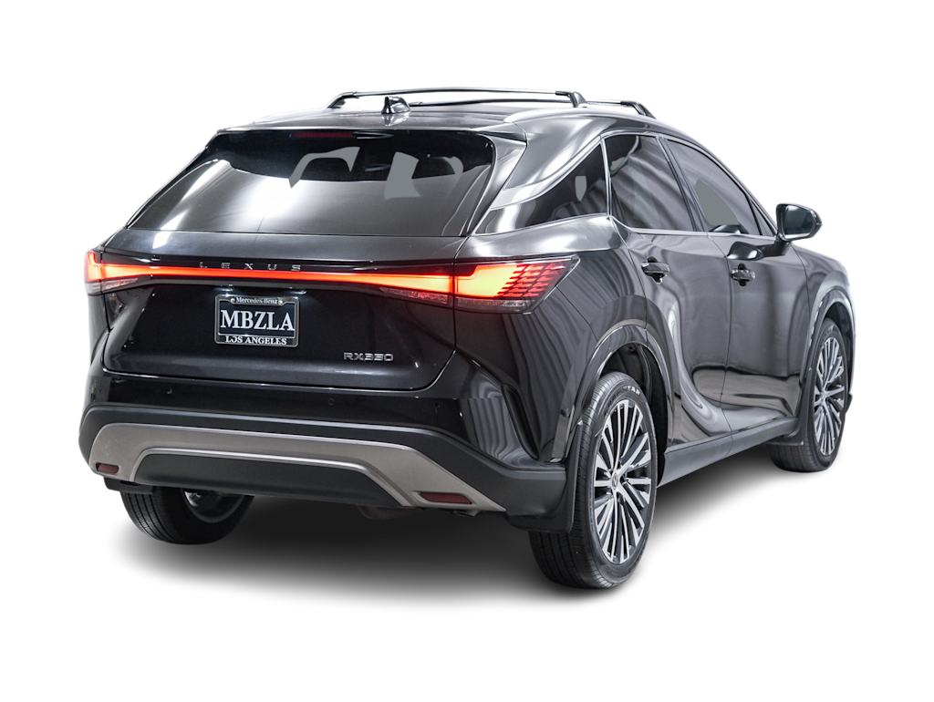 Thumbnail: 2024 Lexus RX - 18