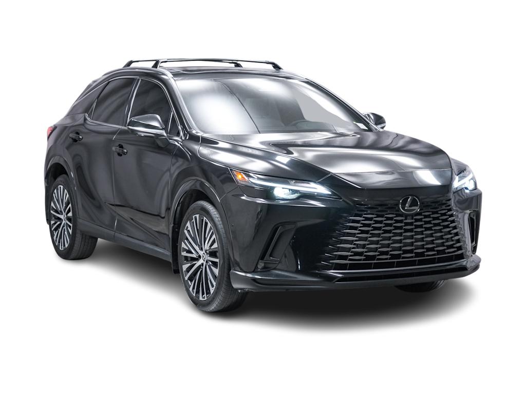 Thumbnail: 2024 Lexus RX - 19