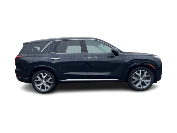 Thumbnail: 2021 Hyundai Palisade - 23