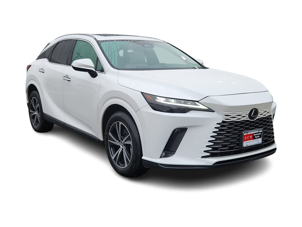 2023 Lexus RX 350 Premium 17
