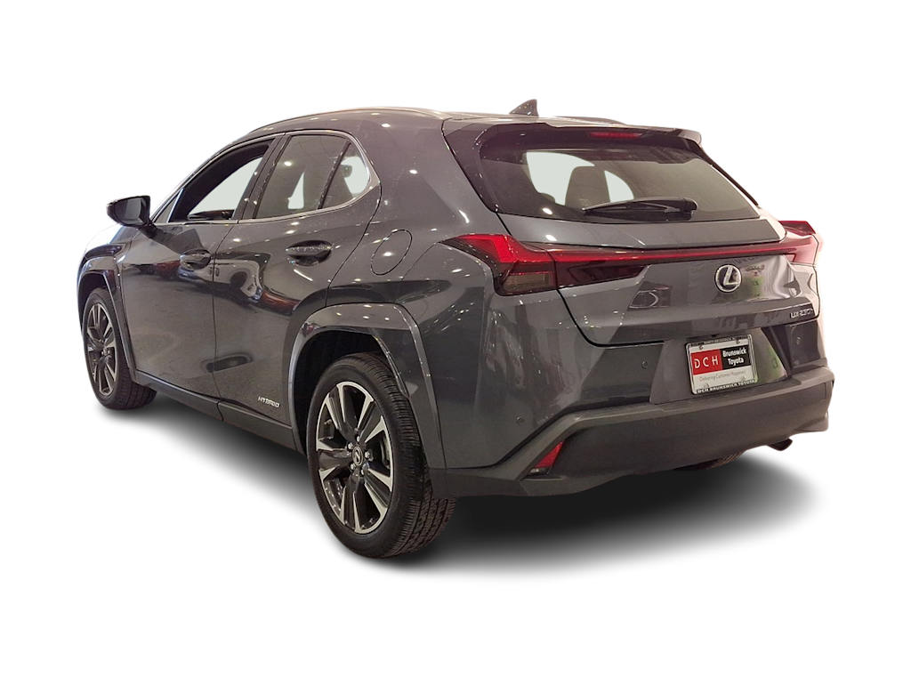 2022 Lexus UX 250h 4