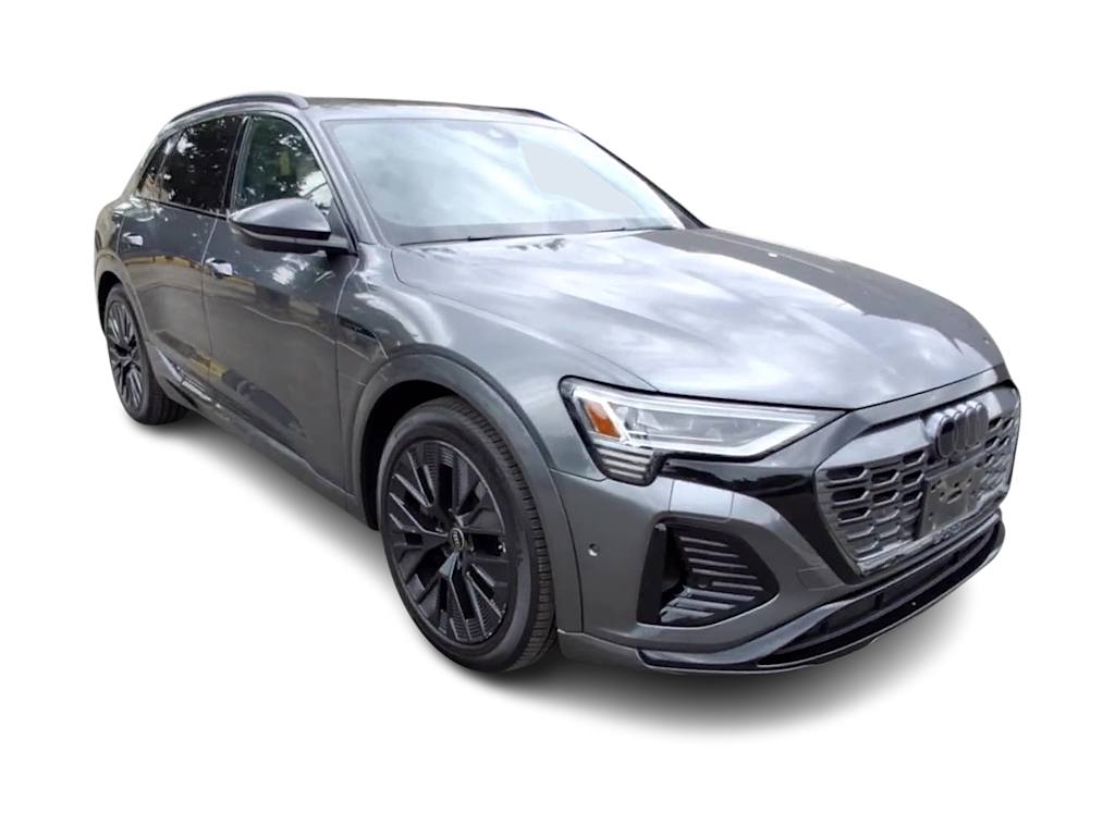 Thumbnail: 2024 Audi Q8 e-tron - 17