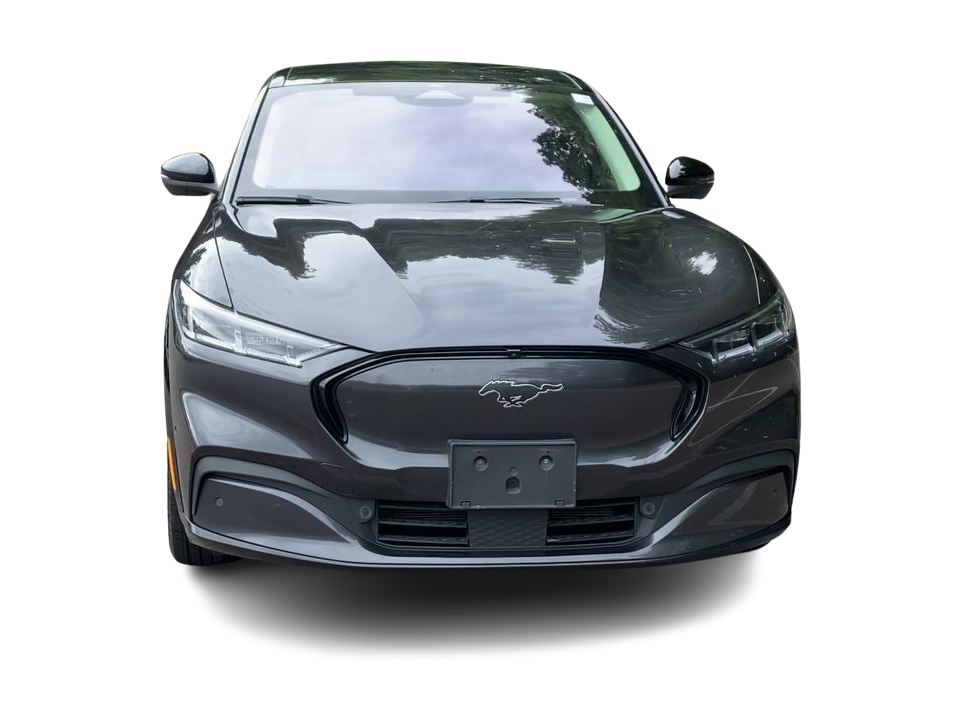 Thumbnail: 2021 Ford Mustang Mach-E - 18