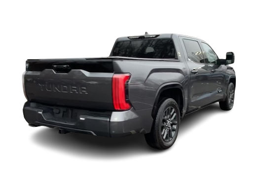 2023 Toyota Tundra Platinum 19