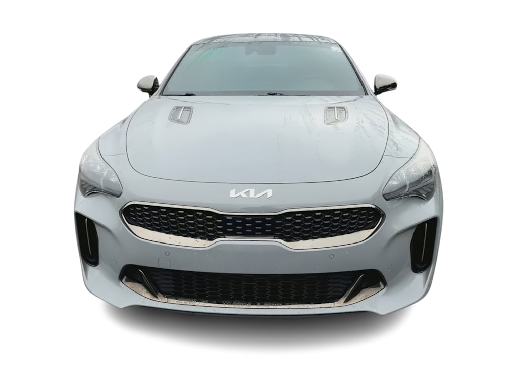 Thumbnail: 2018 Kia Stinger - 4