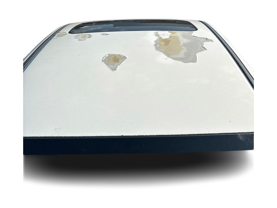 Thumbnail: 2010 Honda Civic - 11