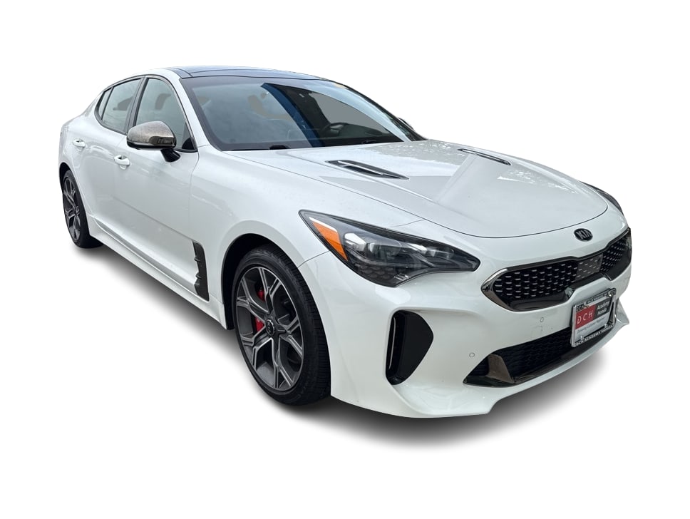 Thumbnail: 2019 Kia Stinger - 16