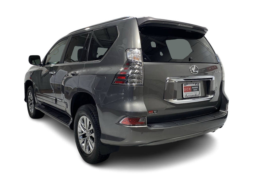 2014 Lexus GX 460 Luxury 4