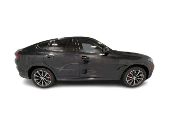 Thumbnail: 2024 BMW X6 - 19