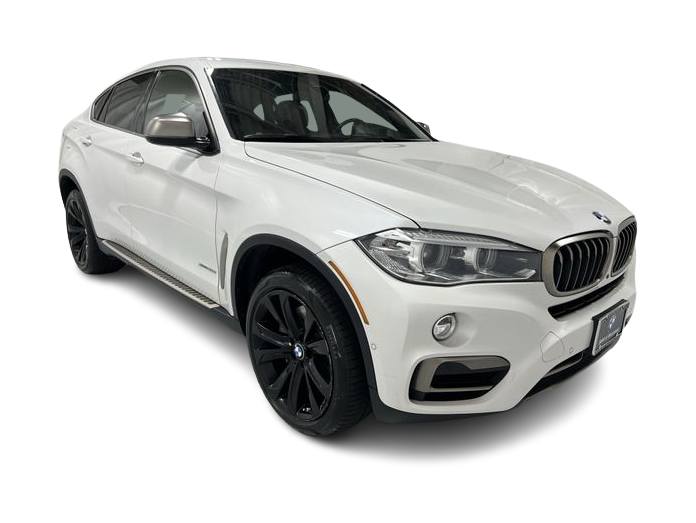 Thumbnail: 2018 BMW X6 - 24