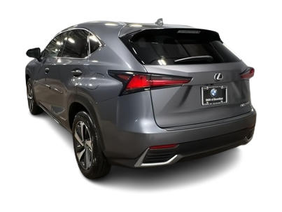 2020 Lexus NX Hybrid 300h 4