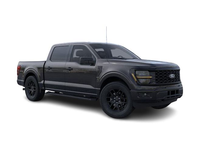 2025 Ford F-150 STX 13