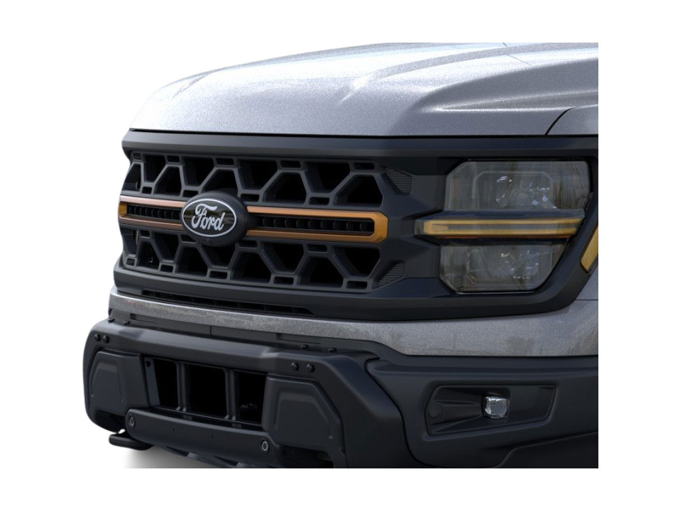 2025 Ford F-150 Tremor 18