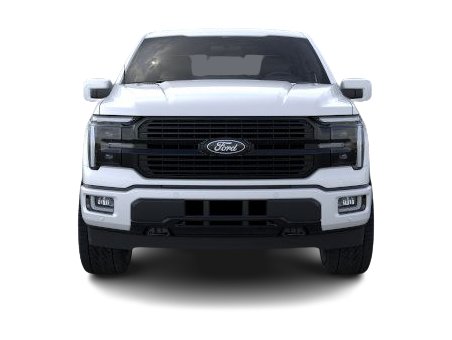 2025 Ford F-150 Platinum 13