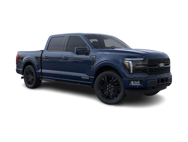2025 Ford F-150 Platinum 14