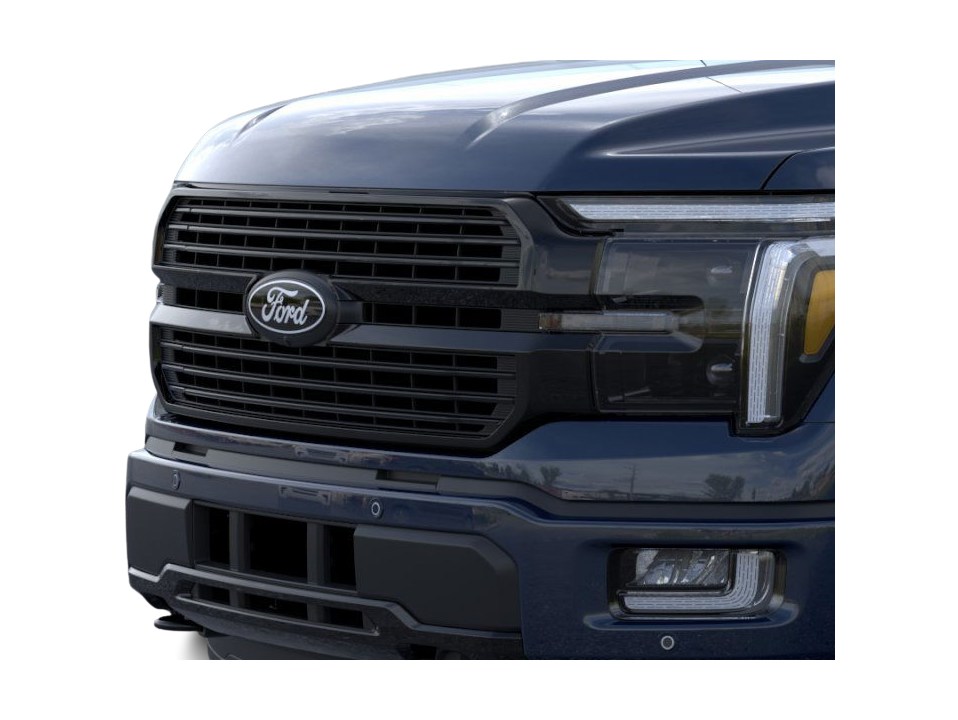 2025 Ford F-150 Platinum 18