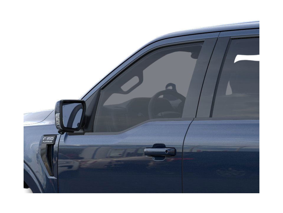 2025 Ford F-150 Platinum 20