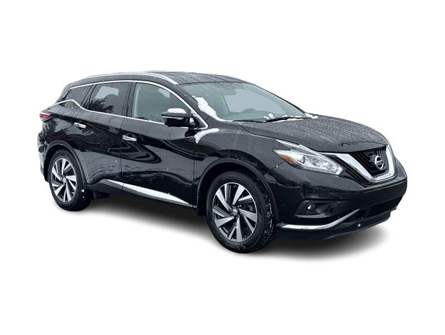 2015 Nissan Murano Platinum 18