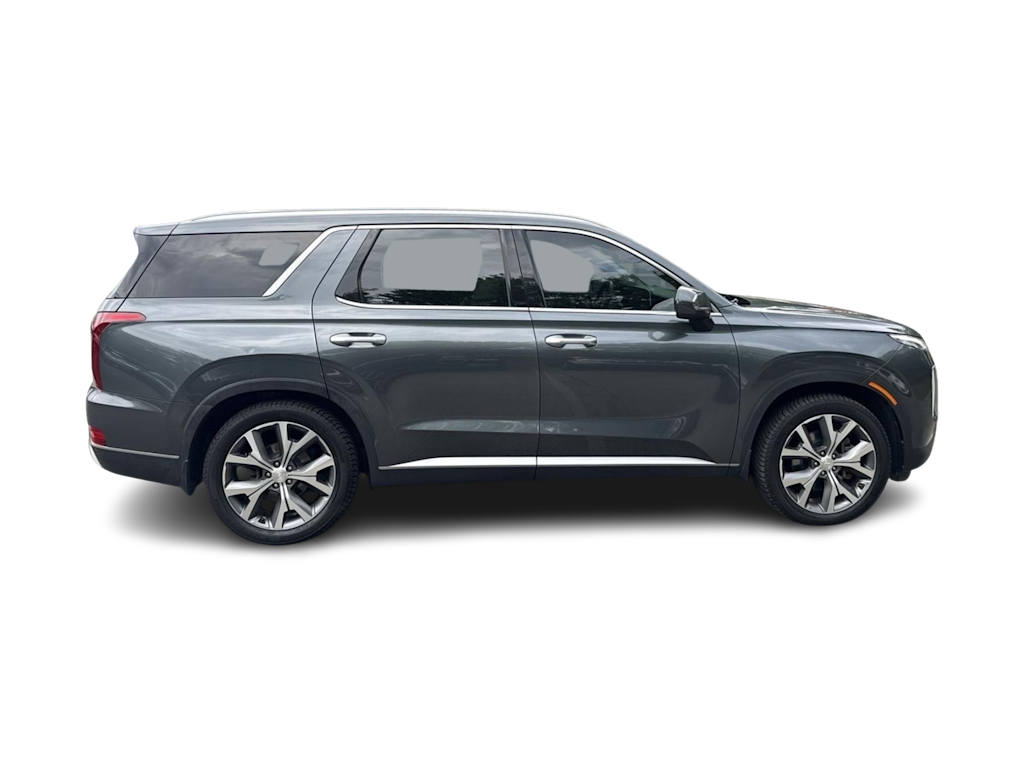 Thumbnail: 2021 Hyundai Palisade - 18