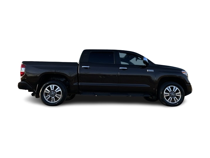 2020 Toyota Tundra Platinum 19