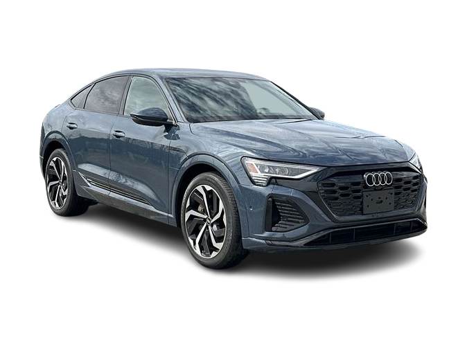 Thumbnail: 2024 Audi Q8 e-tron - 24