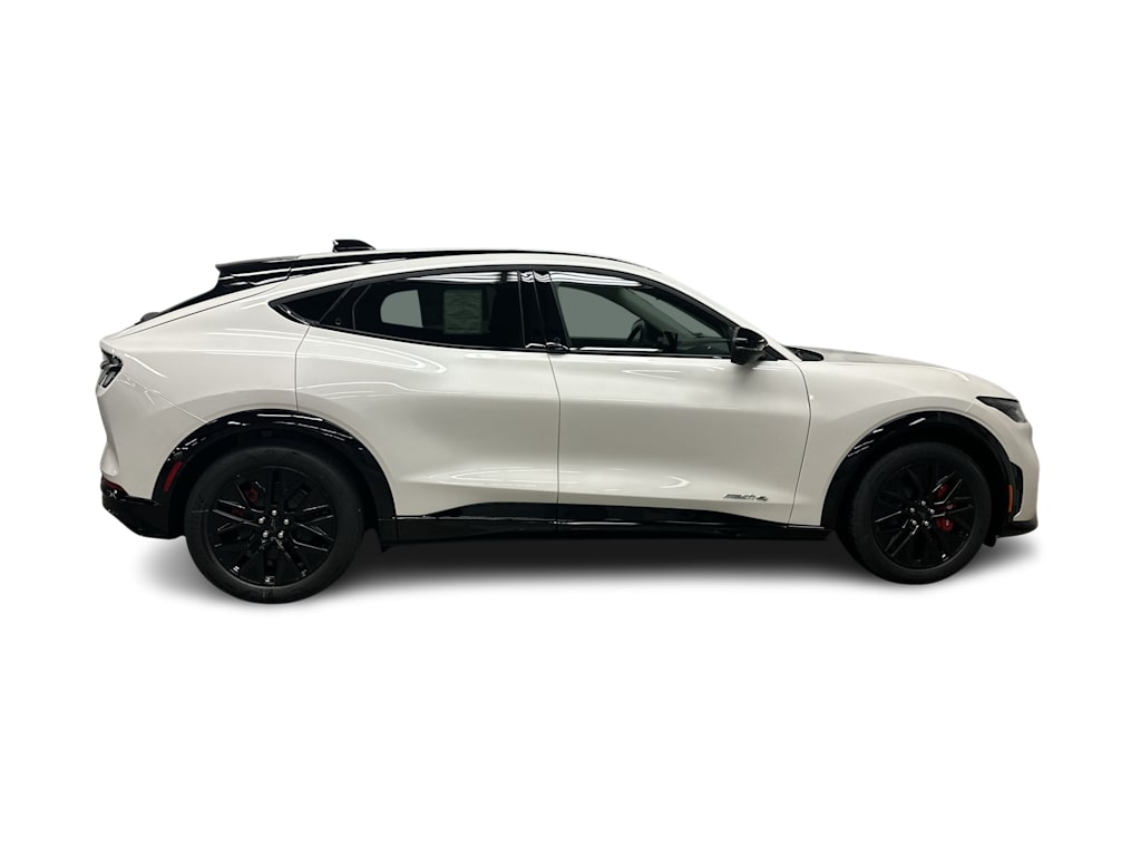 Thumbnail: 2025 Ford Mustang Mach-E - 15