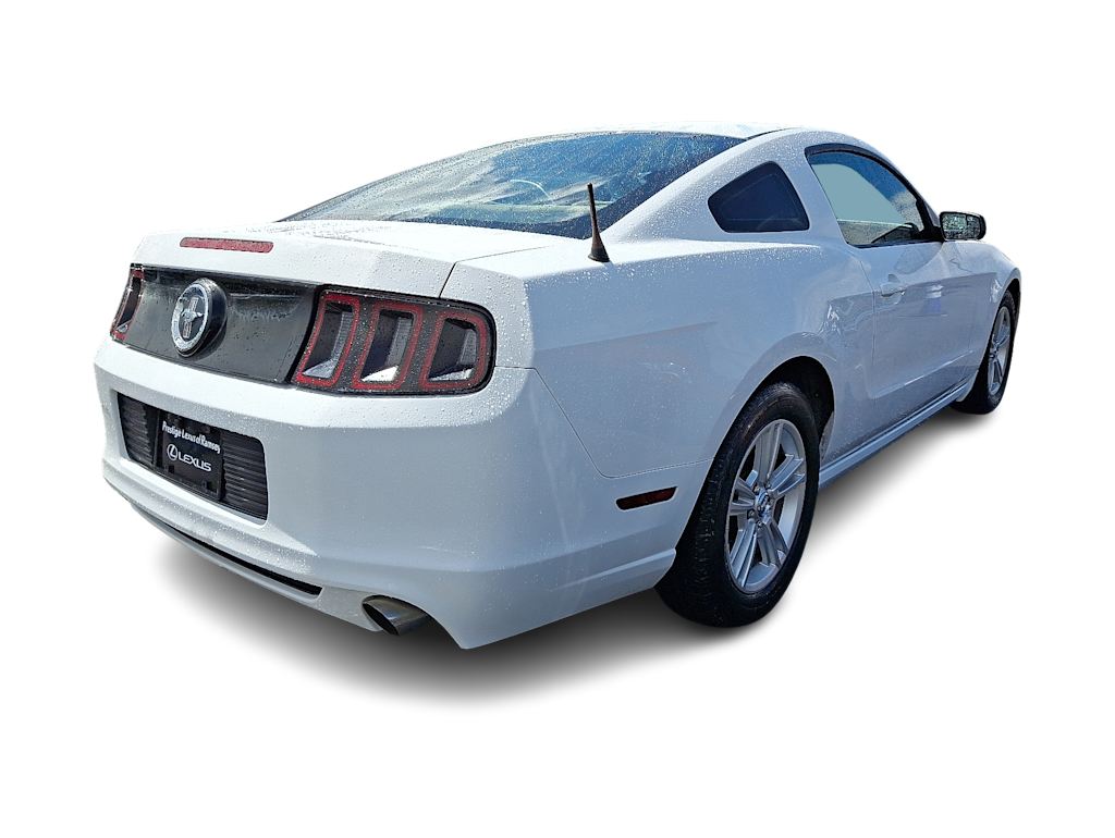 Thumbnail: 2014 Ford Mustang - 15