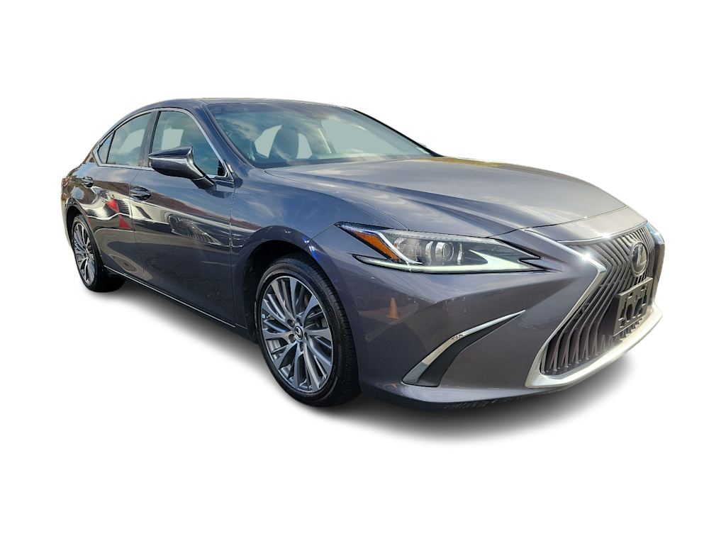 2019 Lexus ES 350 14