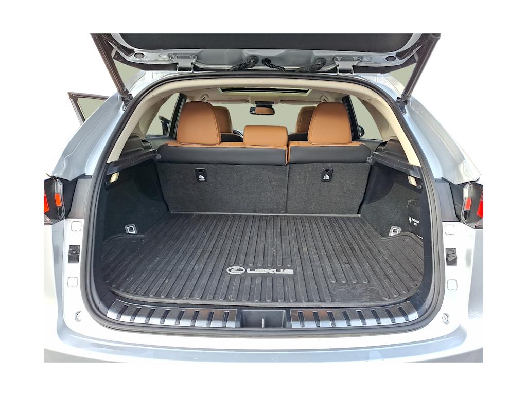 Thumbnail: 2019 Lexus NX - 12