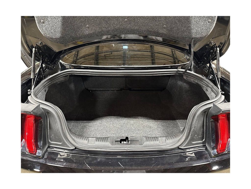 Thumbnail: 2020 Ford Mustang - 15