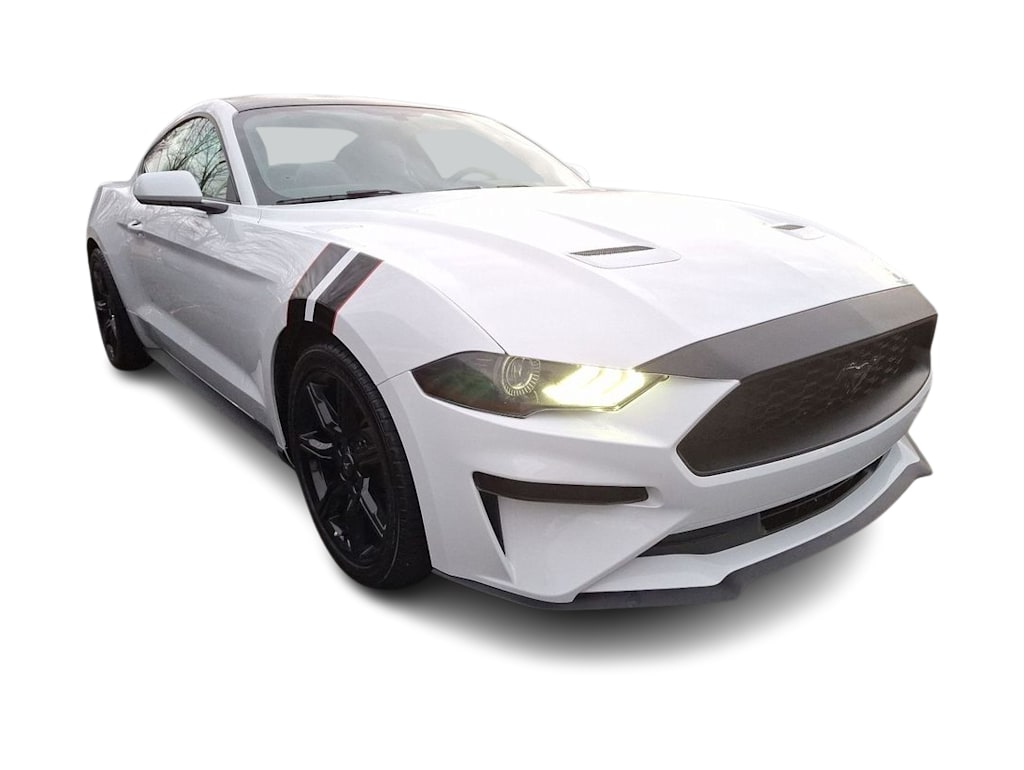 2019 Ford Mustang  14