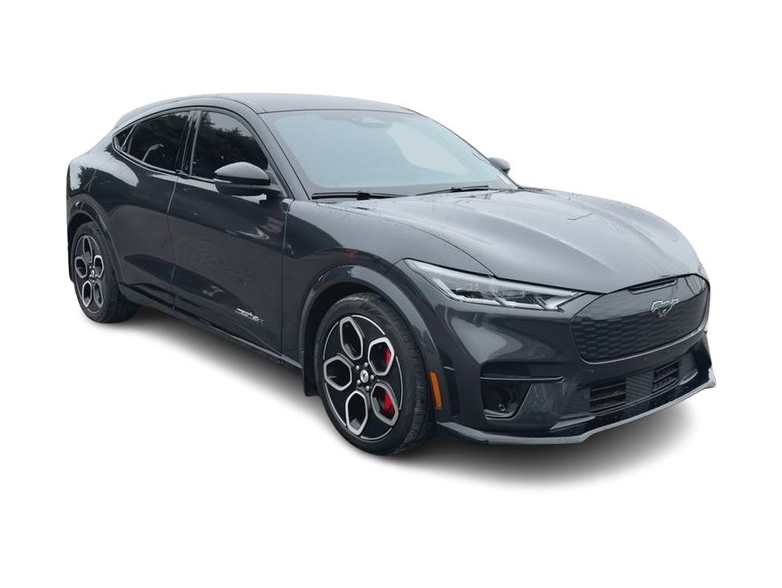 Thumbnail: 2022 Ford Mustang Mach-E - 15