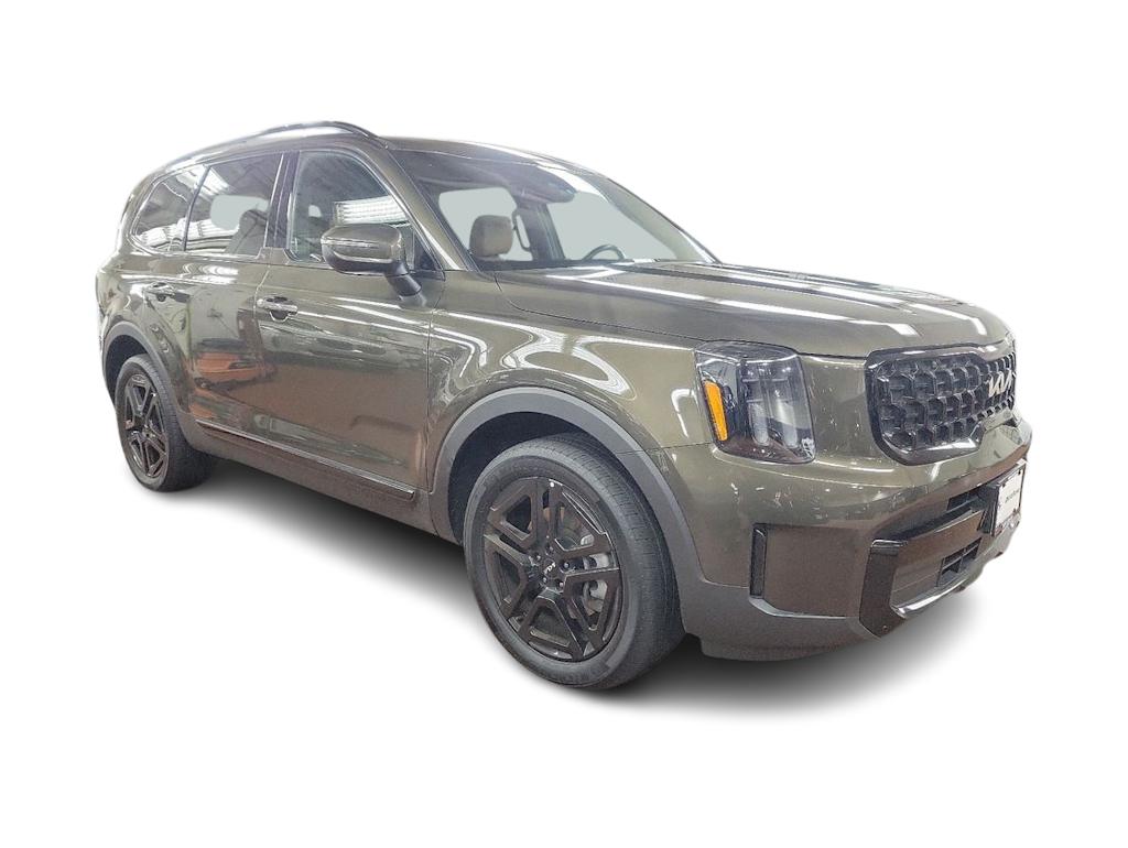 2024 Kia Telluride EX 14