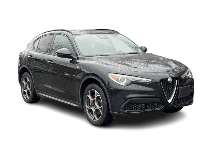 2022 Alfa Romeo Stelvio Ti 19