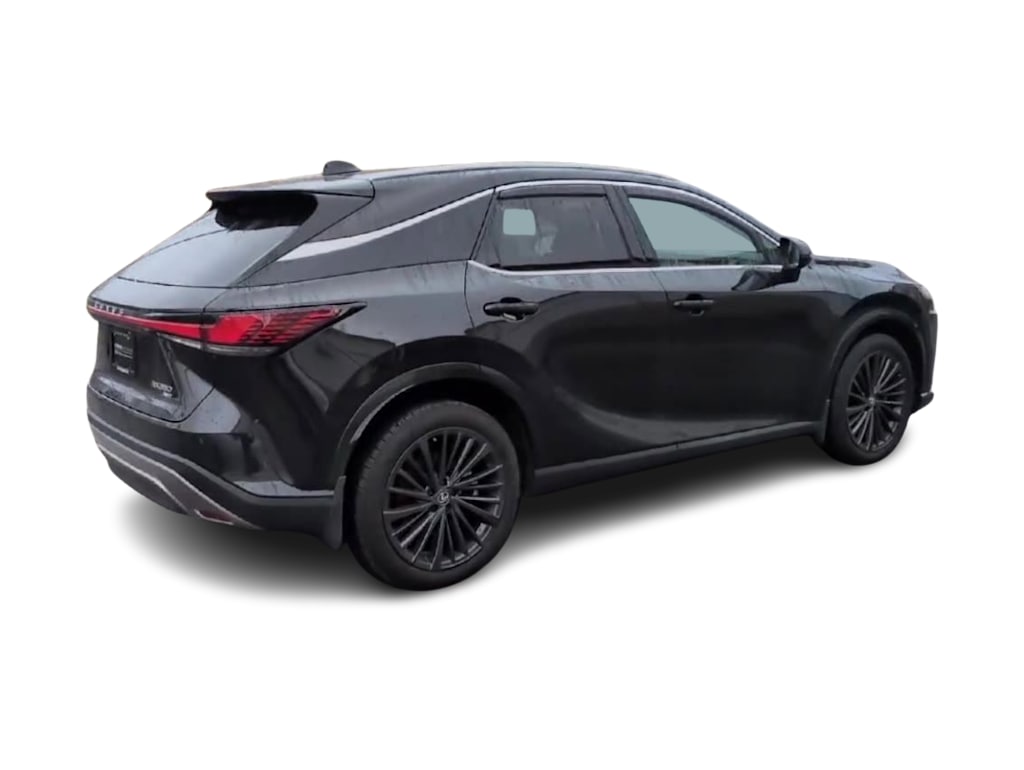 2024 Lexus RX 350 - Photo 23