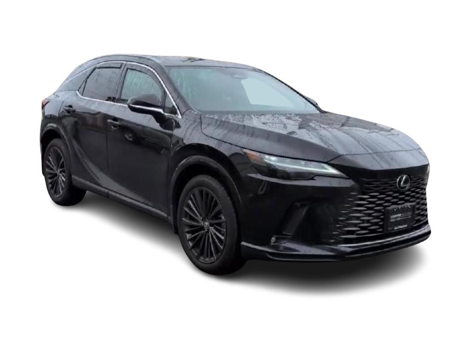 2024 Lexus RX 350 - Photo 21