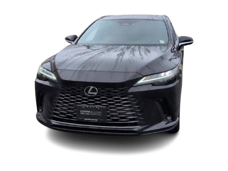 2024 Lexus RX 350 - Photo 6