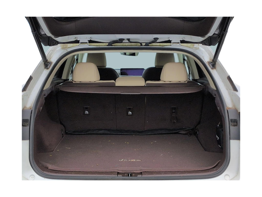 Thumbnail: 2019 Lexus RX - 37