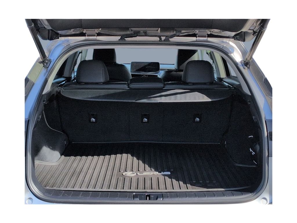 Thumbnail: 2020 Lexus RX - 18