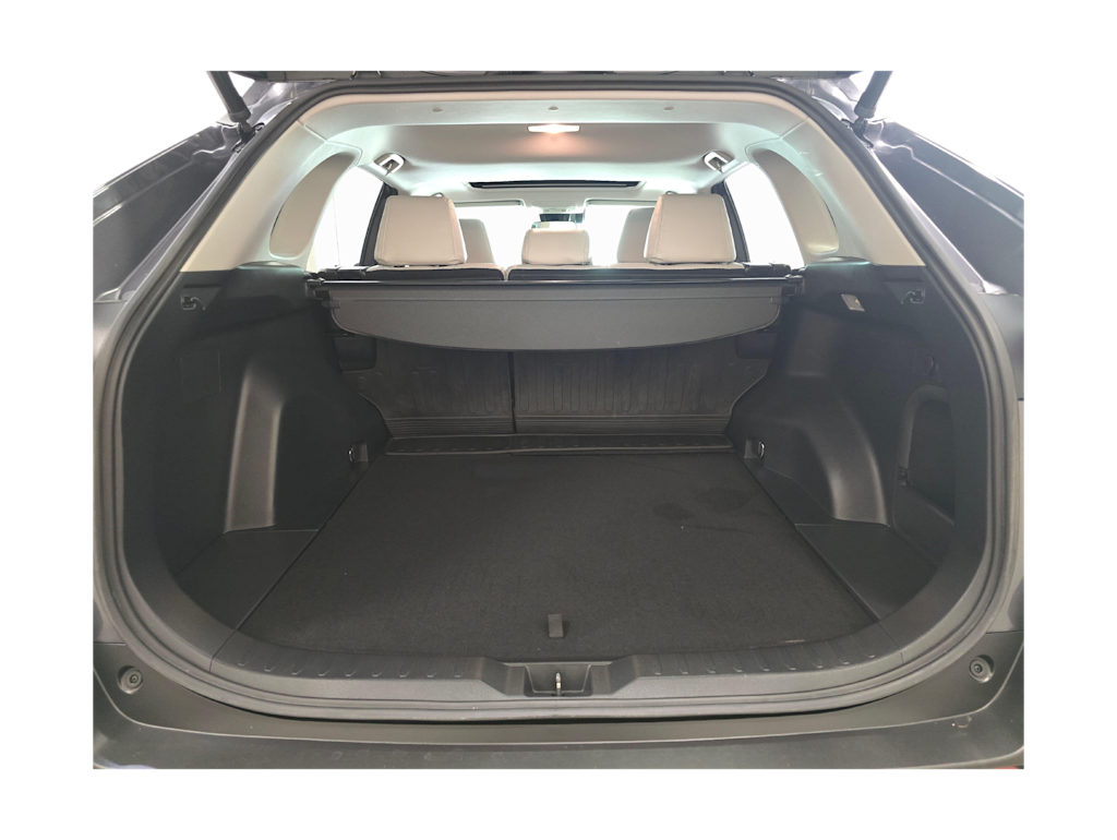 Thumbnail: 2019 Toyota RAV4 - 19