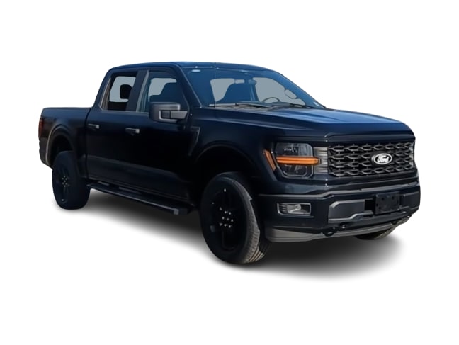 2025 Ford F-150 STX 18