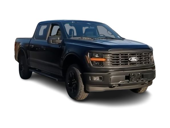 2025 Ford F-150 STX 19