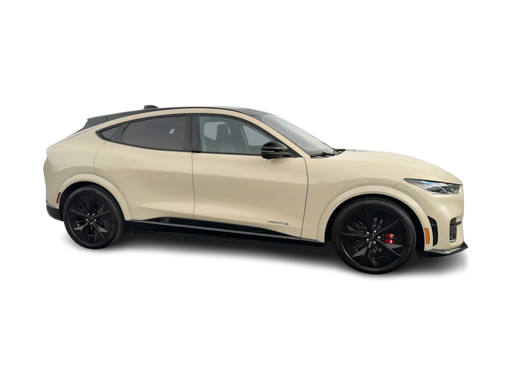 Thumbnail: 2025 Ford Mustang Mach-E - 21