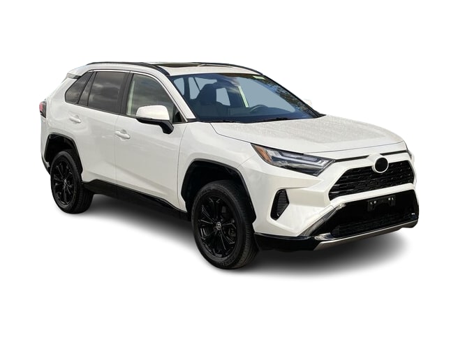 2022 Toyota RAV4 SE 20