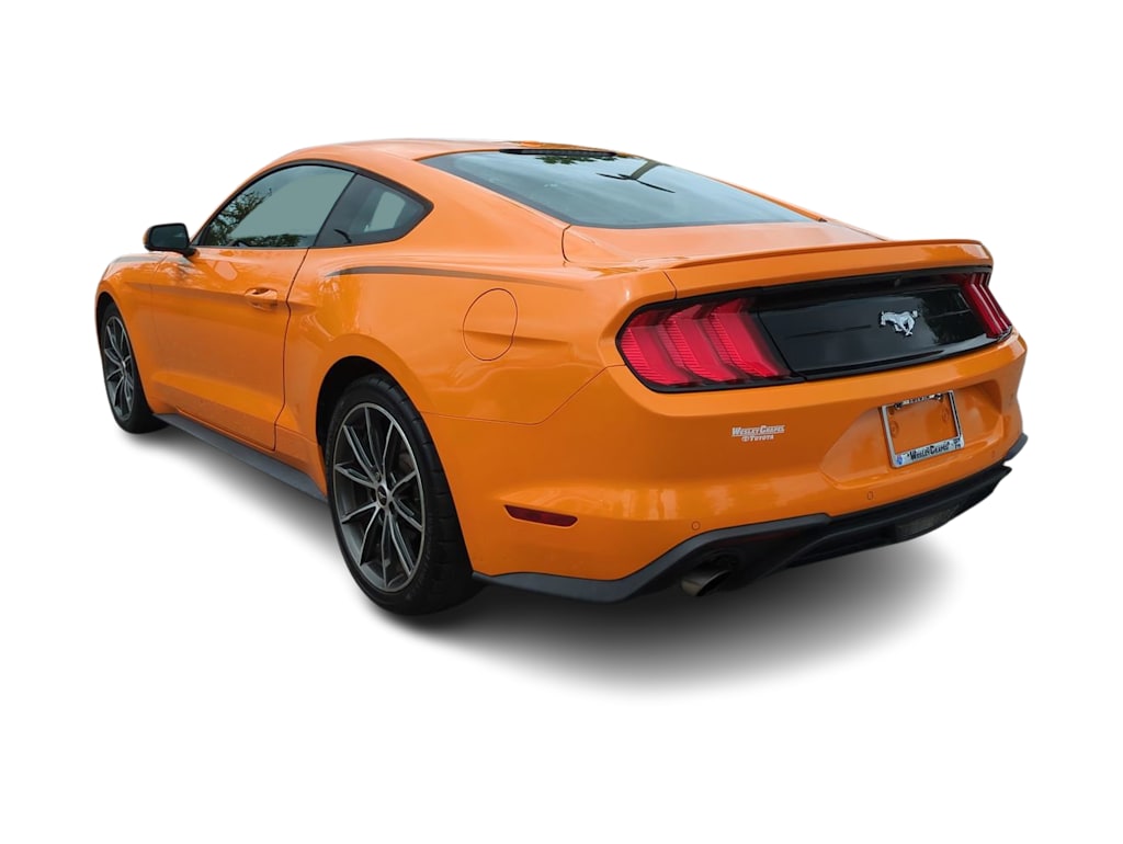 Thumbnail: 2019 Ford Mustang - 4