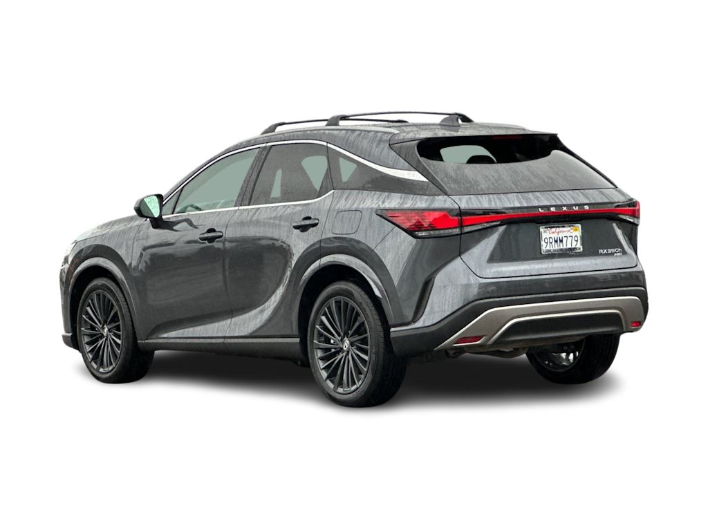 Thumbnail: 2025 Lexus RX - 4