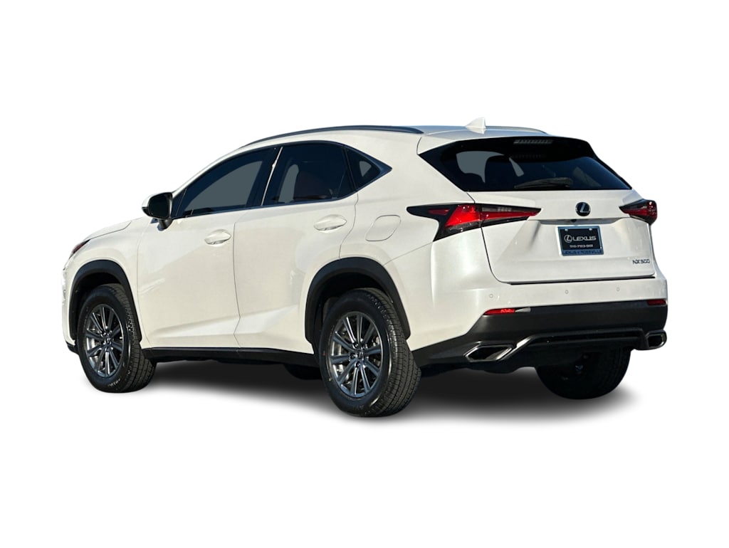 Thumbnail: 2019 Lexus NX - 4