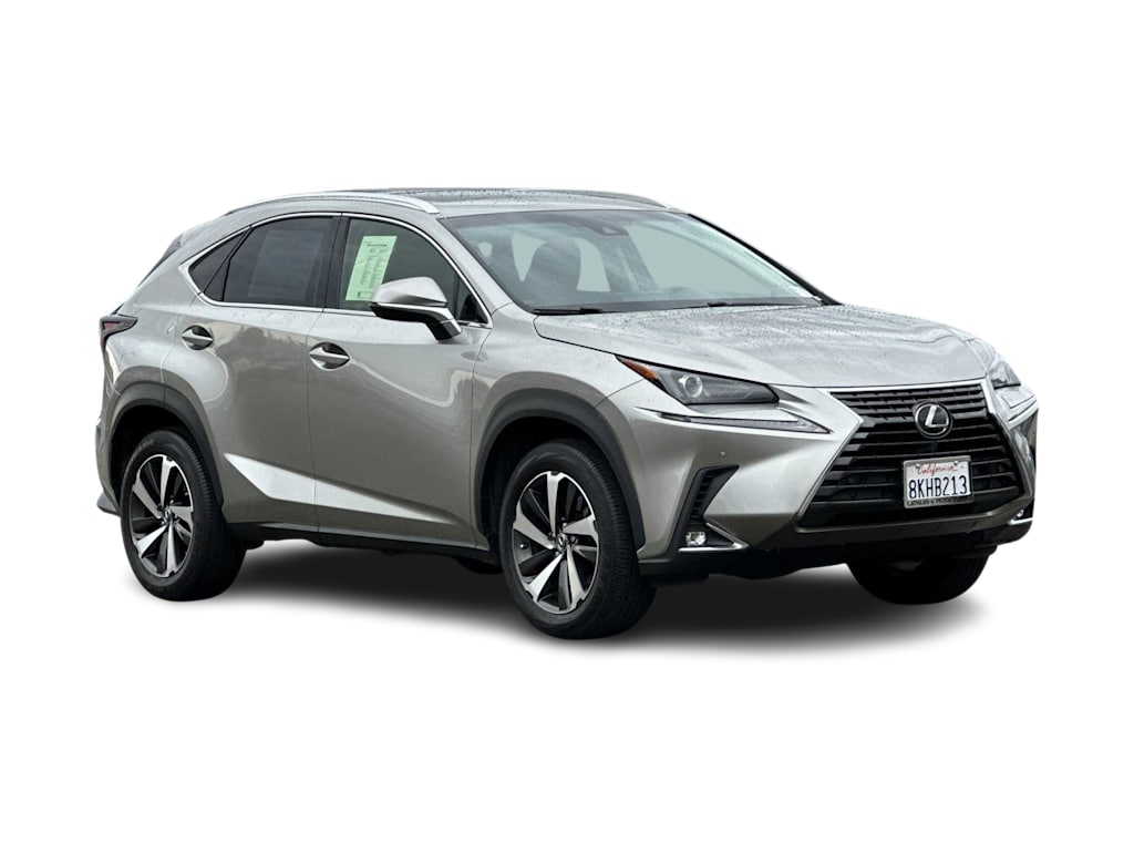 2019 Lexus NX 300 19