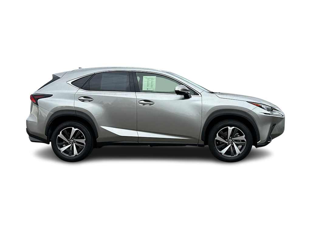 2019 Lexus NX 300 20